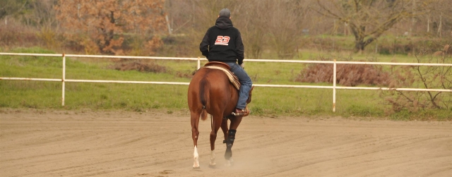 Equestrian Services 